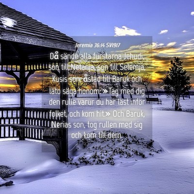 Picture 04 - Jeremia 36:14 SV1917 - Då sände alla furstarna Jehudi, son till - Bible Verse Picture