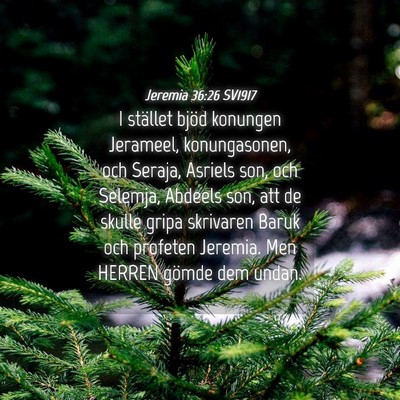 Picture 04 - Jeremia 36:26 SV1917 - I stället bjöd konungen Jerameel, konungasonen, - Bible Verse Picture