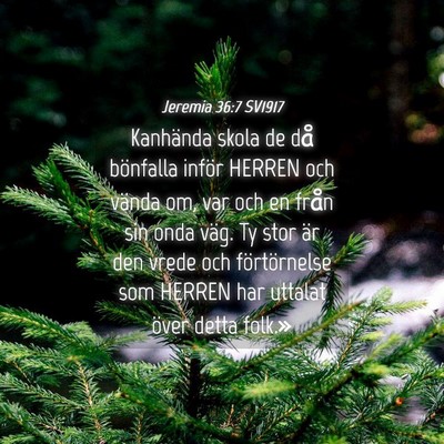 Picture 04 - Jeremia 36:7 SV1917 - Kanhända skola de då bönfalla inför HERREN - Bible Verse Picture