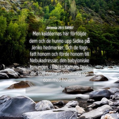 Picture 04 - Jeremia 39:5 SV1917 - Men kaldéernas här förföljde dem och de hunno - Bible Verse Picture