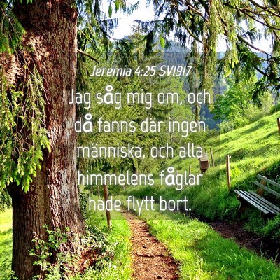 Picture 04 - Jeremia 4:25 SV1917 - Jag såg mig om, och då fanns där ingen - Bible Verse Picture