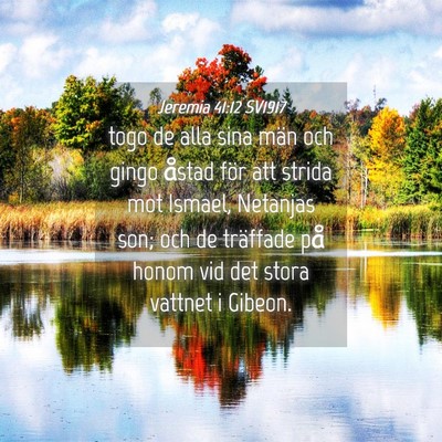 Picture 04 - Jeremia 41:12 SV1917 - togo de alla sina män och gingo åstad för att - Bible Verse Picture