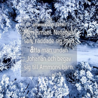 Picture 04 - Jeremia 41:15 SV1917 - Men Ismael, Netanjas son, räddade sig med åtta - Bible Verse Picture