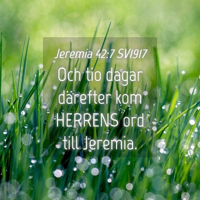Picture 04 - Jeremia 42:7 SV1917 - Och tio dagar därefter kom HERRENS ord till - Bible Verse Picture