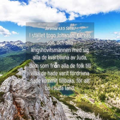 Picture 04 - Jeremia 43:5 SV1917 - I stället togo Johanan, Kareas son, och alla - Bible Verse Picture