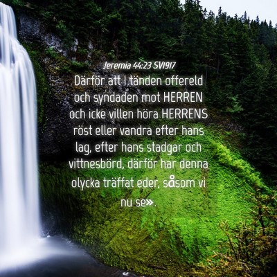 Picture 04 - Jeremia 44:23 SV1917 - Därför att I tänden offereld och syndaden mot - Bible Verse Picture