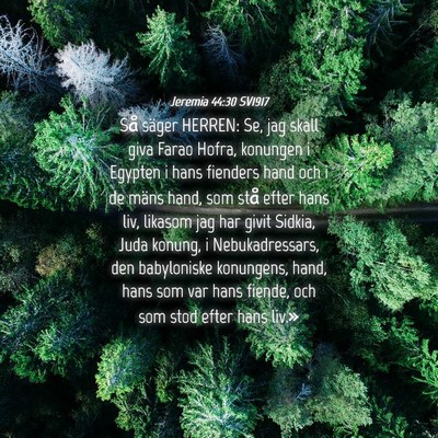 Picture 04 - Jeremia 44:30 SV1917 - Så säger HERREN: Se, jag skall giva Farao - Bible Verse Picture