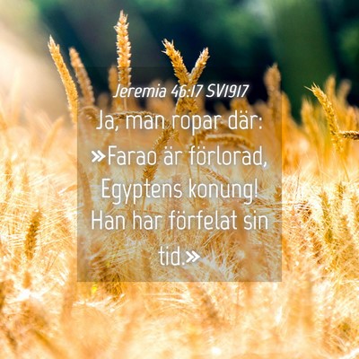 Picture 04 - Jeremia 46:17 SV1917 - Ja, man ropar där: »Farao är förlorad, - Bible Verse Picture