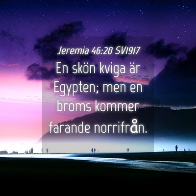Picture 04 - Jeremia 46:20 SV1917 - En skön kviga är Egypten; men en broms kommer - Bible Verse Picture