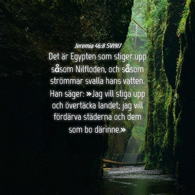 Picture 04 - Jeremia 46:8 SV1917 - Det är Egypten som stiger upp såsom Nilfloden, - Bible Verse Picture