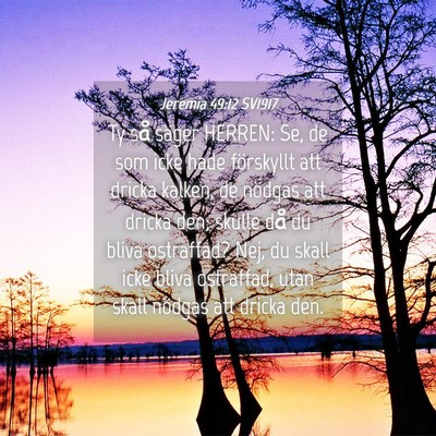Picture 04 - Jeremia 49:12 SV1917 - Ty så säger HERREN: Se, de som icke hade - Bible Verse Picture