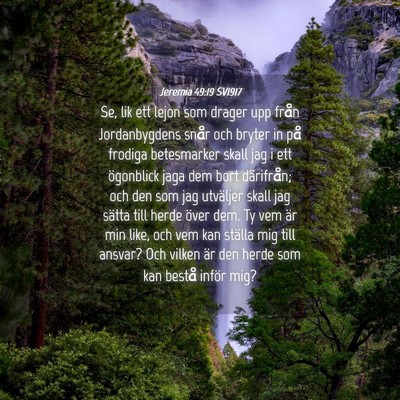 Picture 04 - Jeremia 49:19 SV1917 - Se, lik ett lejon som drager upp från - Bible Verse Picture