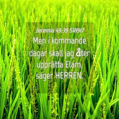 Picture 04 - Jeremia 49:39 SV1917 - Men i kommande dagar skall jag åter upprätta - Bible Verse Picture