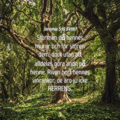 Picture 04 - Jeremia 5:10 SV1917 - Stormen då hennes murar och för stören dem, - Bible Verse Picture