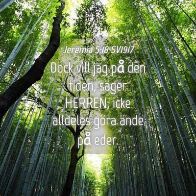 Picture 04 - Jeremia 5:18 SV1917 - Dock vill jag på den tiden, säger HERREN, icke - Bible Verse Picture