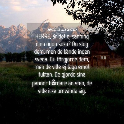 Picture 04 - Jeremia 5:3 SV1917 - HERRE, är det ej sanning dina ögon söka? Du - Bible Verse Picture