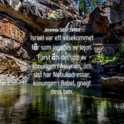 Picture 04 - Jeremia 50:17 SV1917 - Israel var ett vilsekommet får som jagades av - Bible Verse Picture