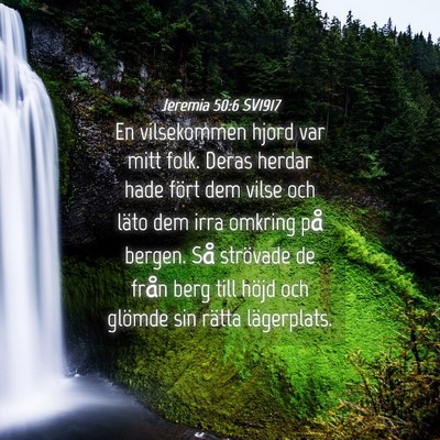 Picture 04 - Jeremia 50:6 SV1917 - En vilsekommen hjord var mitt folk. Deras herdar - Bible Verse Picture