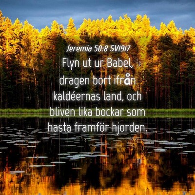 Picture 04 - Jeremia 50:8 SV1917 - Flyn ut ur Babel, dragen bort ifrån kaldéernas - Bible Verse Picture