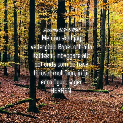 Picture 04 - Jeremia 51:24 SV1917 - Men nu skall jag vedergälla Babel och alla - Bible Verse Picture
