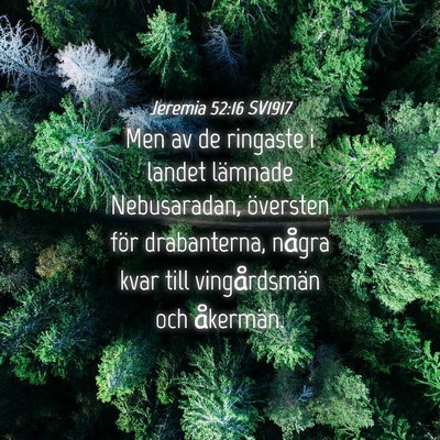 Picture 04 - Jeremia 52:16 SV1917 - Men av de ringaste i landet lämnade Nebusaradan, - Bible Verse Picture