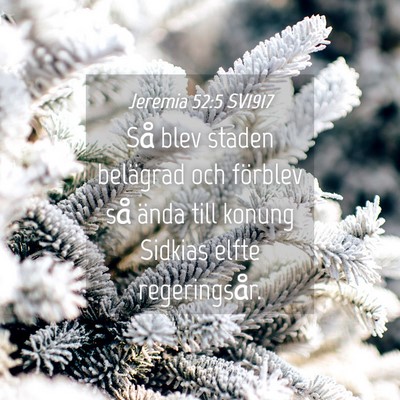 Picture 04 - Jeremia 52:5 SV1917 - Så blev staden belägrad och förblev så ända - Bible Verse Picture