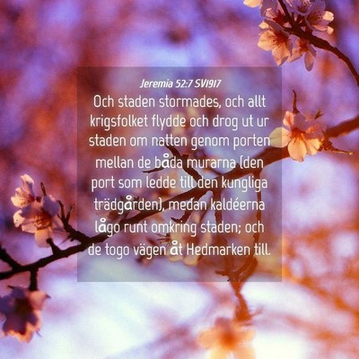 Picture 04 - Jeremia 52:7 SV1917 - Och staden stormades, och allt krigsfolket flydde - Bible Verse Picture