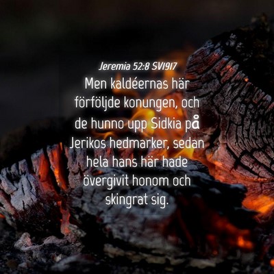 Picture 04 - Jeremia 52:8 SV1917 - Men kaldéernas här förföljde konungen, och de - Bible Verse Picture