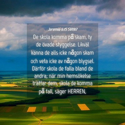 Picture 04 - Jeremia 6:15 SV1917 - De skola komma på skam, ty de övade styggelse. - Bible Verse Picture