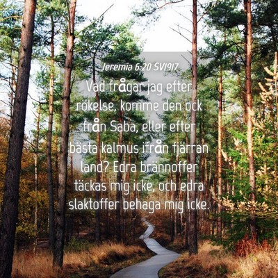 Picture 04 - Jeremia 6:20 SV1917 - Vad frågar jag efter rökelse, komme den ock - Bible Verse Picture