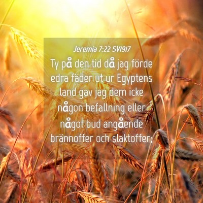 Picture 04 - Jeremia 7:22 SV1917 - Ty på den tid då jag förde edra fäder ut ur - Bible Verse Picture