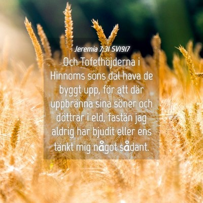 Picture 04 - Jeremia 7:31 SV1917 - Och Tofethöjderna i Hinnoms sons dal hava de - Bible Verse Picture