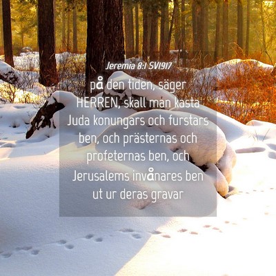 Picture 04 - Jeremia 8:1 SV1917 - på den tiden, säger HERREN, skall man kasta - Bible Verse Picture