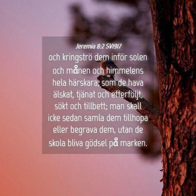Picture 04 - Jeremia 8:2 SV1917 - och kringströ dem inför solen och månen och - Bible Verse Picture