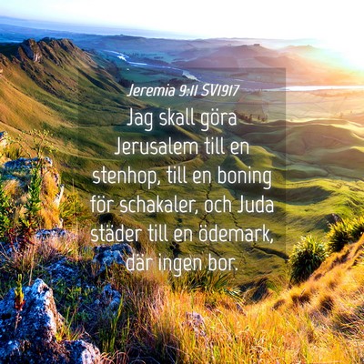 Picture 04 - Jeremia 9:11 SV1917 - Jag skall göra Jerusalem till en stenhop, till - Bible Verse Picture