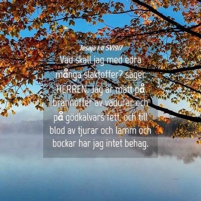 Picture 04 - Jesaja 1:11 SV1917 - Vad skall jag med edra många slaktoffer? säger - Bible Verse Picture