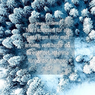 Picture 04 - Jesaja 1:12 SV1917 - När I kommen för att träda fram inför mitt - Bible Verse Picture