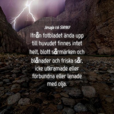 Picture 04 - Jesaja 1:6 SV1917 - Ifrån fotbladet ända upp till huvudet finnes - Bible Verse Picture