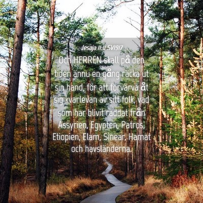 Picture 04 - Jesaja 11:11 SV1917 - Och HERREN skall på den tiden ännu en gång - Bible Verse Picture