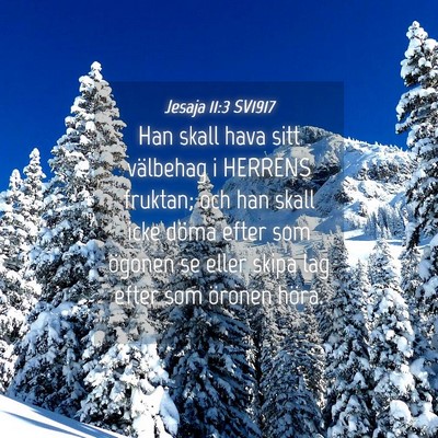 Picture 04 - Jesaja 11:3 SV1917 - Han skall hava sitt välbehag i HERRENS fruktan; - Bible Verse Picture