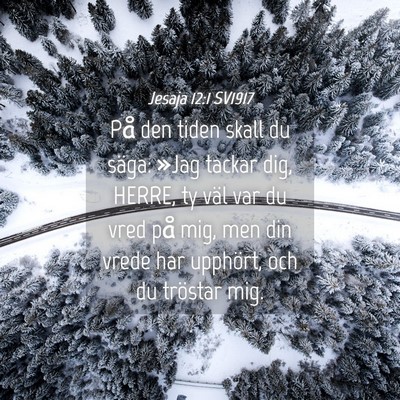 Picture 04 - Jesaja 12:1 SV1917 - På den tiden skall du säga: »Jag tackar dig, - Bible Verse Picture