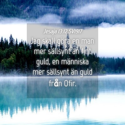 Picture 04 - Jesaja 13:12 SV1917 - Jag skall göra en man mer sällsynt än fint - Bible Verse Picture