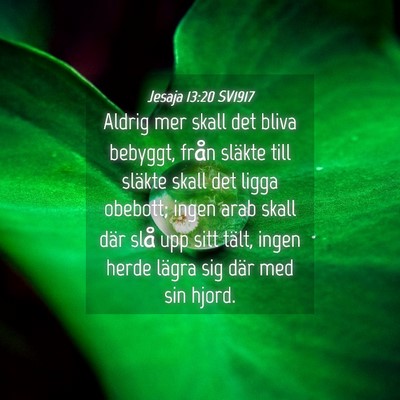Picture 04 - Jesaja 13:20 SV1917 - Aldrig mer skall det bliva bebyggt, från släkte - Bible Verse Picture