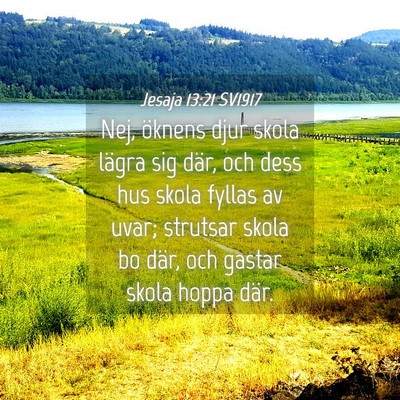 Picture 04 - Jesaja 13:21 SV1917 - Nej, öknens djur skola lägra sig där, och dess - Bible Verse Picture