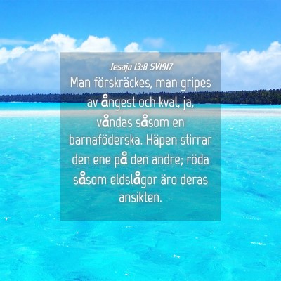 Picture 04 - Jesaja 13:8 SV1917 - Man förskräckes, man gripes av ångest och - Bible Verse Picture