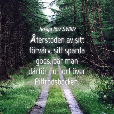 Picture 04 - Jesaja 15:7 SV1917 - Återstoden av sitt förvärv, sitt sparda gods, - Bible Verse Picture