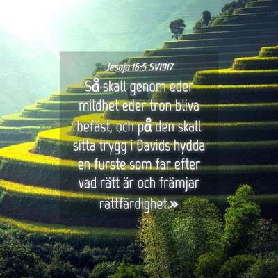 Picture 04 - Jesaja 16:5 SV1917 - Så skall genom eder mildhet eder tron bliva - Bible Verse Picture