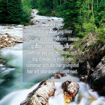 Picture 04 - Jesaja 16:9 SV1917 - Därför gråter jag över Sibmas vinträd, - Bible Verse Picture