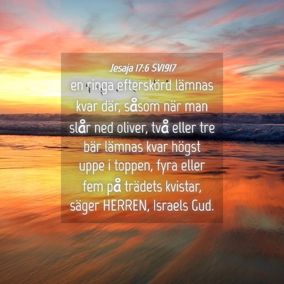Picture 04 - Jesaja 17:6 SV1917 - en ringa efterskörd lämnas kvar där, såsom - Bible Verse Picture