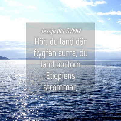 Picture 04 - Jesaja 18:1 SV1917 - Hör, du land där flygfän surra, du land bortom - Bible Verse Picture